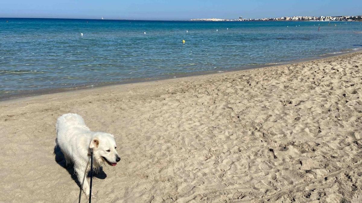 Appartamento Attico In Riva Al Mare *
