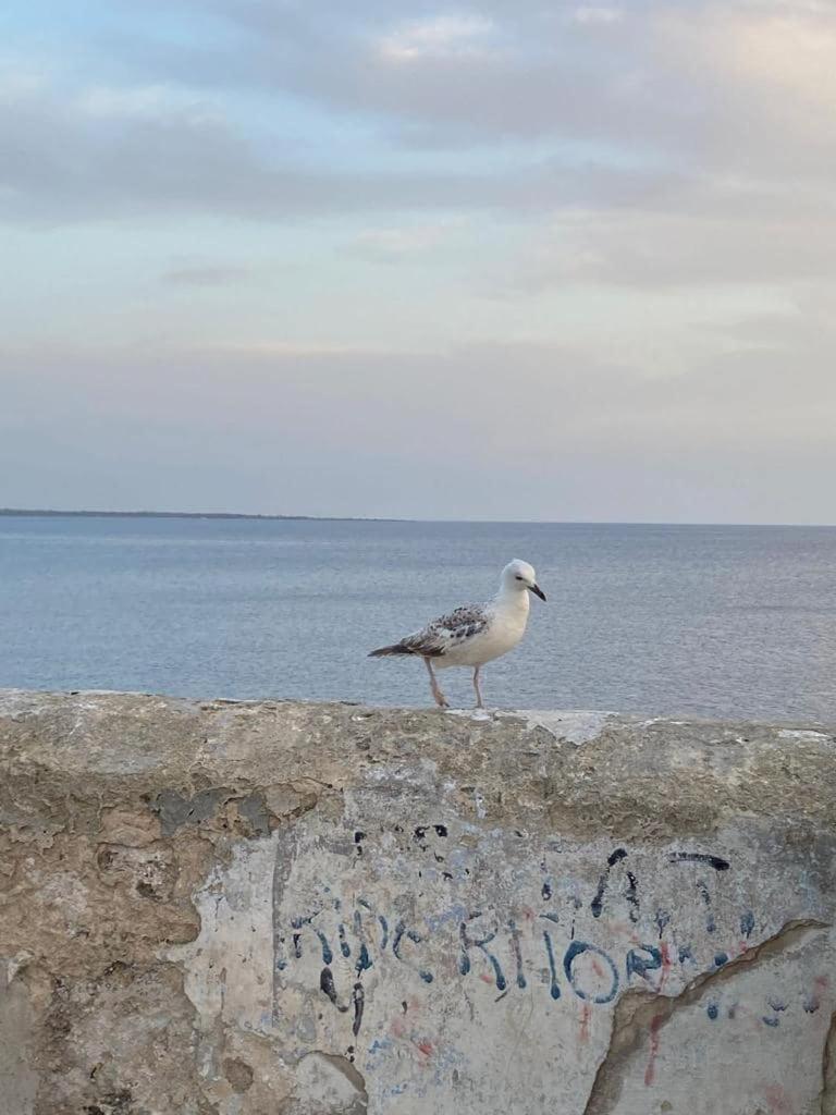 Appartamento Attico In Riva Al Mare Gallipoli